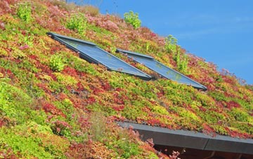 Little Lawford living roof systems