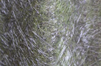 Little Lawford fibreglass roof work